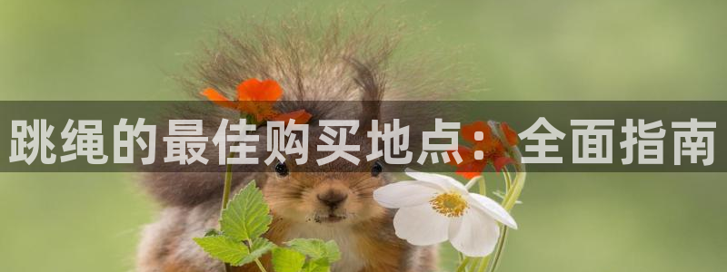 星娱乐包月是干嘛的：跳绳的最佳购买地点：全面指南