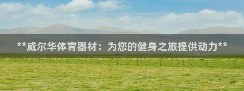 星欧娱乐公司