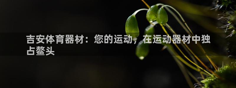 星欧娱乐最建议买的三个游戏是什么：吉安体育器材：您的运动，在