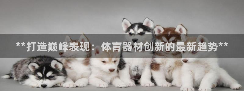 星欧娱乐属于什么档次的软件公司