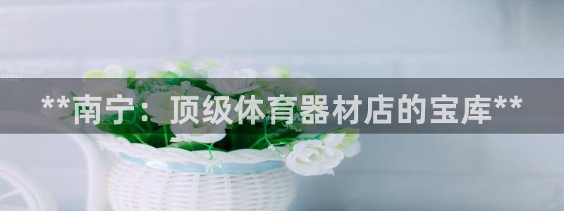 星游娱乐下载地址