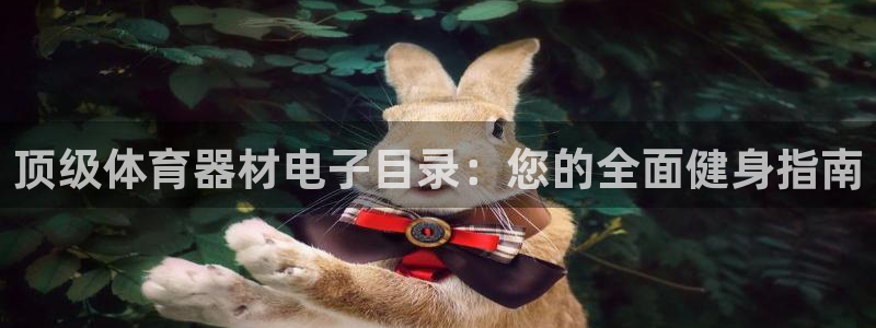 星欧娱乐银行卡怎么登录：顶级体育器材电子目录：您的全