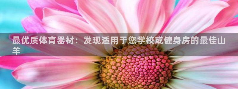 星欧娱乐挂机赚钱