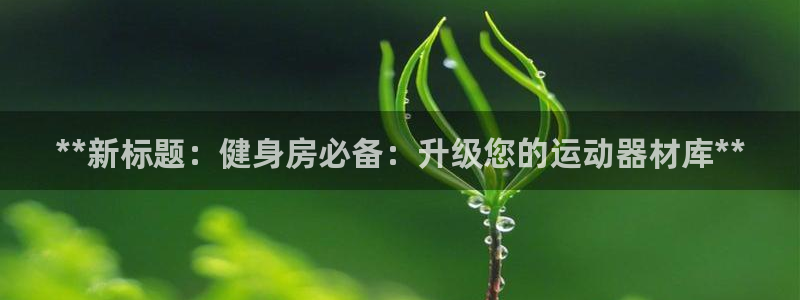 星娱乐文化传媒有限公司
