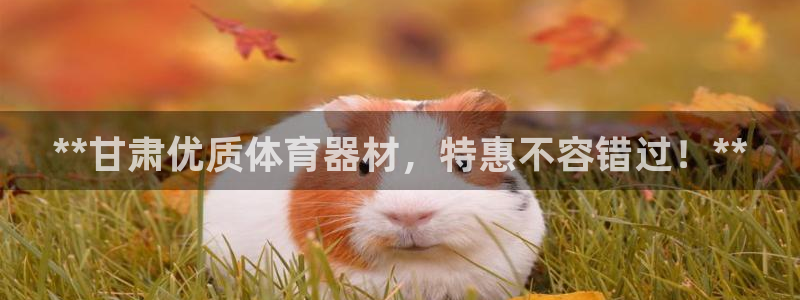 星欧娱乐扣款