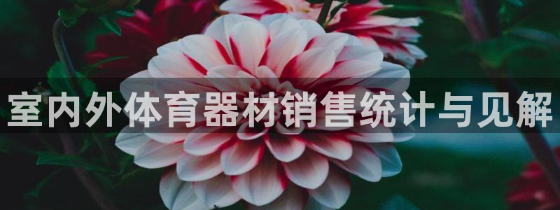 星欧娱乐平台怎么样知乎赚钱吗