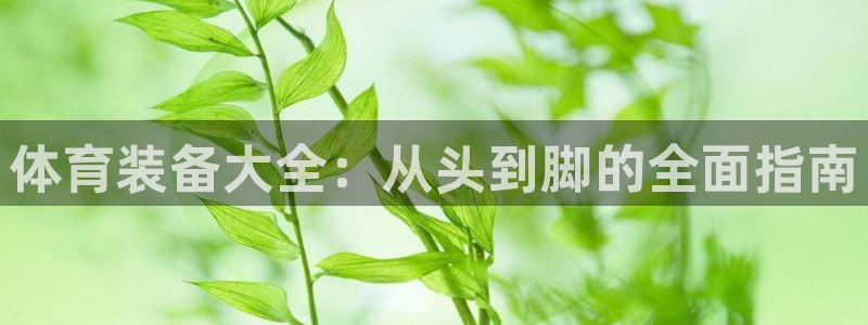 星欧娱乐扣款时间查询方法是什么