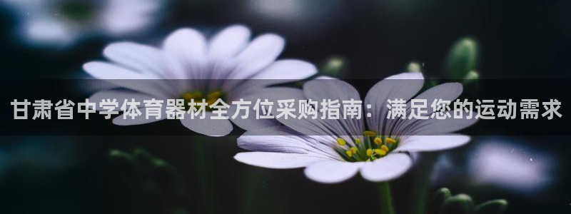 星欧娱乐属于什么档次的公司啊