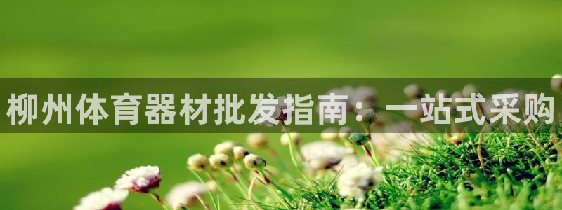 星欧娱乐是正规品牌吗