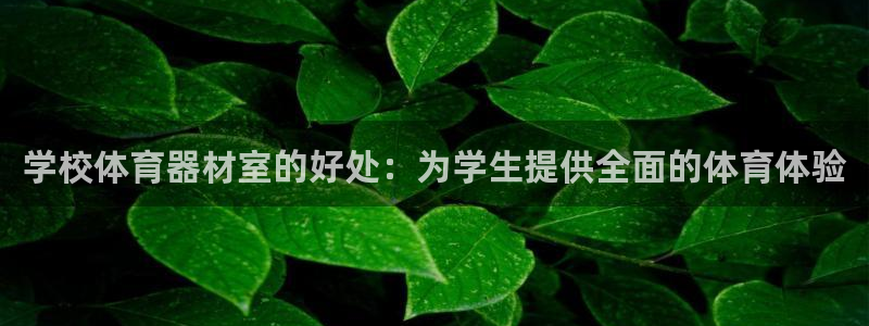 星欧娱乐总代.直开.中国