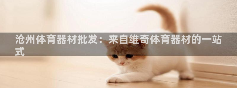 星奥娱乐微博：沧州体育器材批发：来自维奇体育器材的一站
式