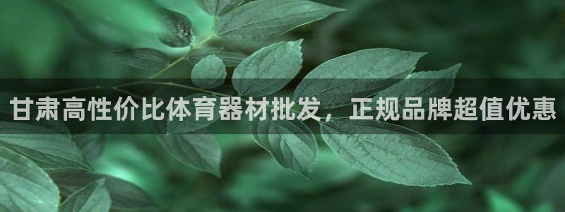 星欧娱乐扣款时间查询方法是什么意思：甘肃高性价比体育器材批发