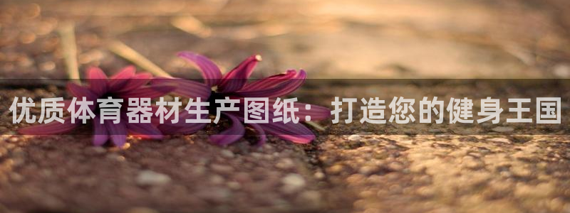 星欧娱乐最建议买的三个游戏是什么：优质体育器材生产图纸：打造