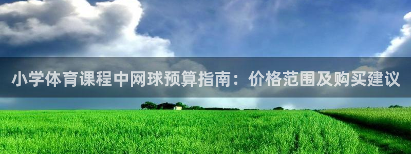 星欧娱乐公司创始人背景故事是什么：小学体育课程中网球