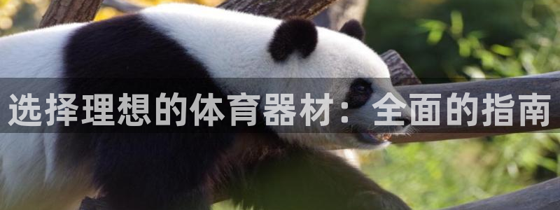 星欧娱乐公司电话号码
