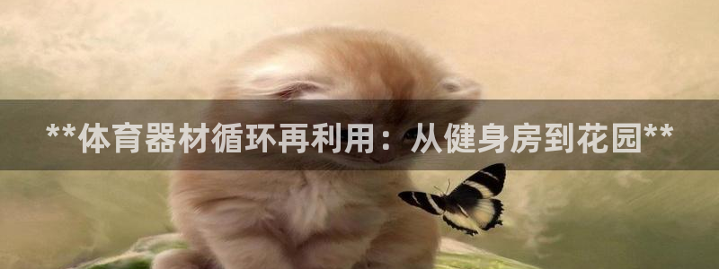 星欧娱乐联游戏评测