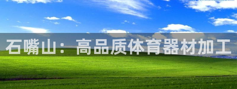 星欧娱乐公司创始人背景故事是什么：石嘴山：高品质体育