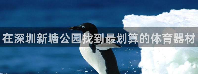 星欧娱乐扣款时间查询方法怎么查不到：在深圳新塘公园找