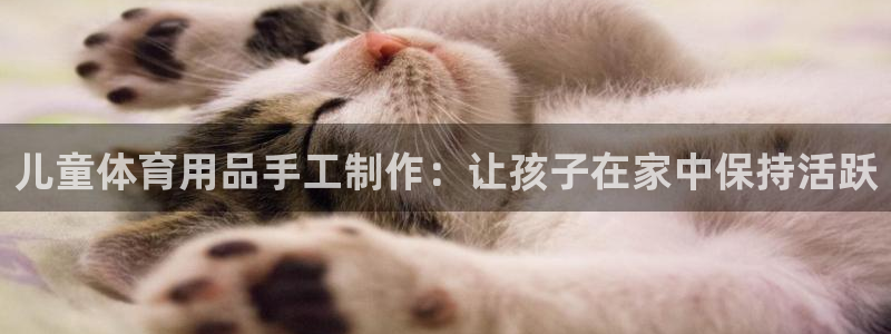 星奥娱乐集团股份有限公司：儿童体育用品手工制作：让孩