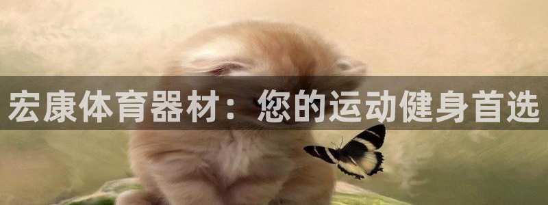 星欧娱乐会员优惠活动：宏康体育器材：您的运动健身首选