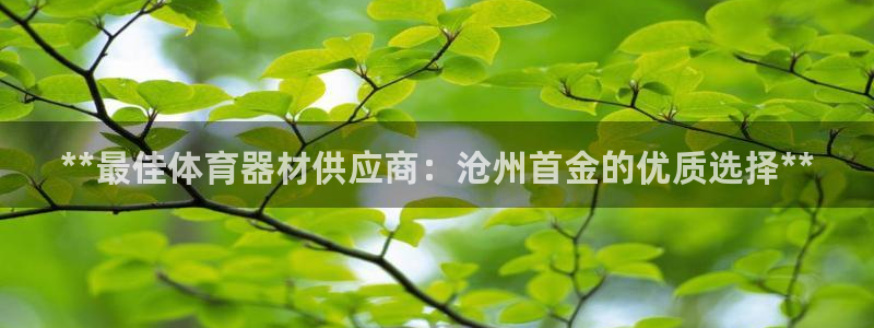 星奥娱乐集团官网：**最佳体育器材供应商：沧州首金的