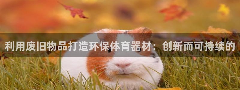 星欧娱乐巴711.112扣费记录查询方法：利用废旧物品打造环