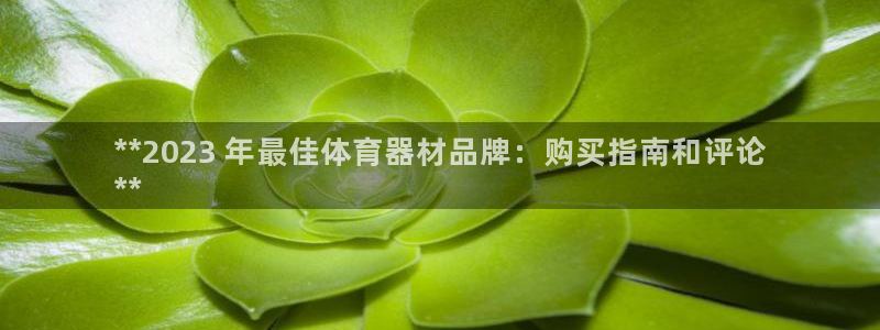 星欧娱乐雀V是什么平台：**2023 年最佳体育器材