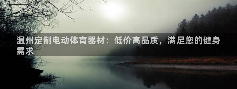 星欧娱乐扣费后解决方法：温州定制电动体育器材：低价高品质，满