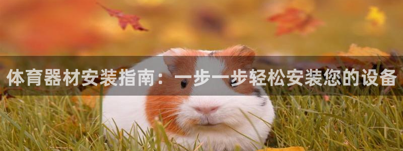 星乐娱乐：体育器材安装指南：一步一步轻松安装您的设备
