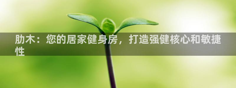 星欧娱乐的创始人背景故事是什么：肋木：您的居家健身房