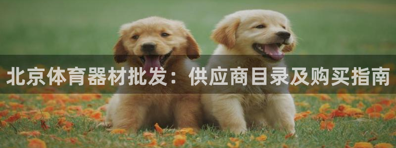 星欧娱乐属于什么档次的公司啊：北京体育器材批发：供应商目录及