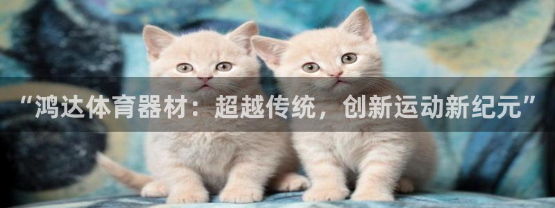 星娱乐online创作的原声这个歌曲叫什么名字