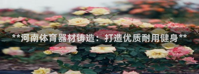 星欧娱乐：**河南体育器材铸造：打造优质耐用健身**
