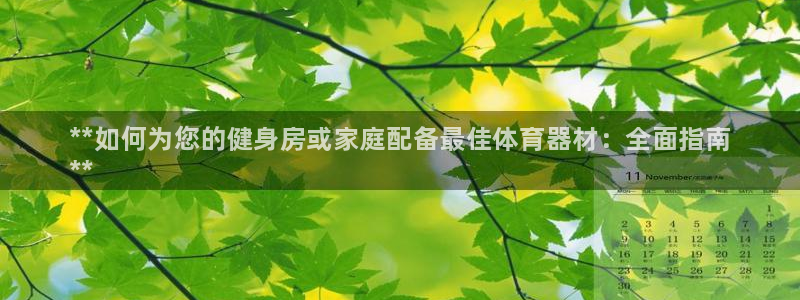 星乐娱乐官网：**如何为您的健身房或家庭配备最佳体育器材：全