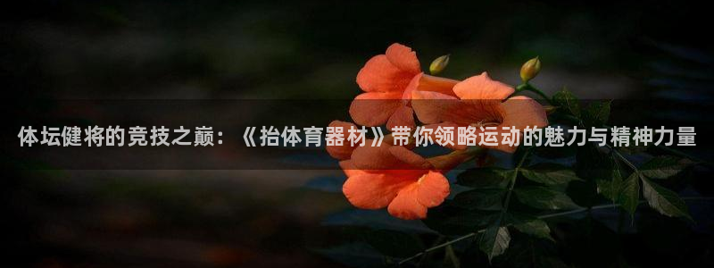 星欧娱乐还能玩吗