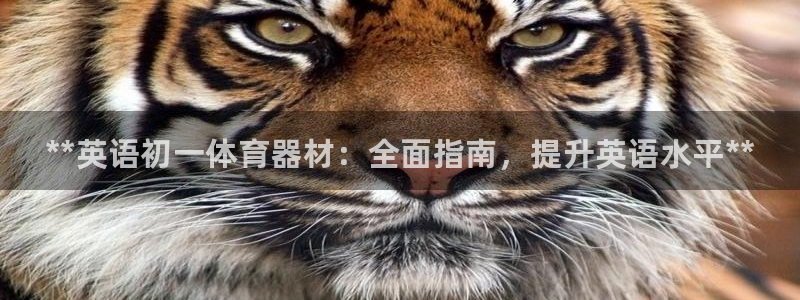 星欧娱乐测速：**英语初一体育器材：全面指南，提升英