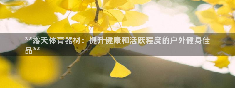 星奥娱乐微博：**露天体育器材：提升健康和活跃程度的户外健身