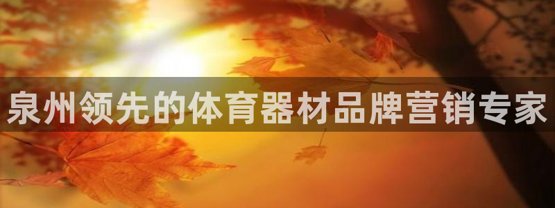 星欧娱乐app最新版本更新内容是什么：泉州领先的体育器材品牌