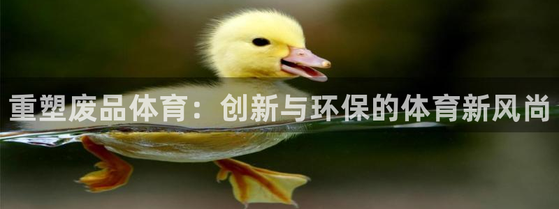 星奥娱乐集团股份有限公司招聘