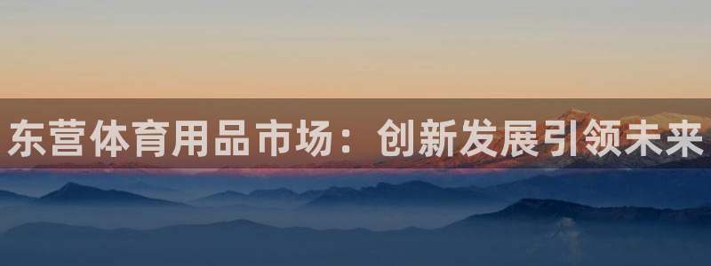 星奥娱乐集团股份有限公司：东营体育用品市场：创新发展