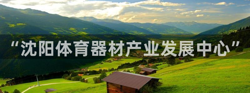 星欧娱乐平台怎么样可靠吗：“沈阳体育器材产业发展中心