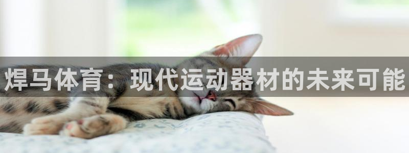 星欧娱乐扣款：焊马体育：现代运动器材的未来可能