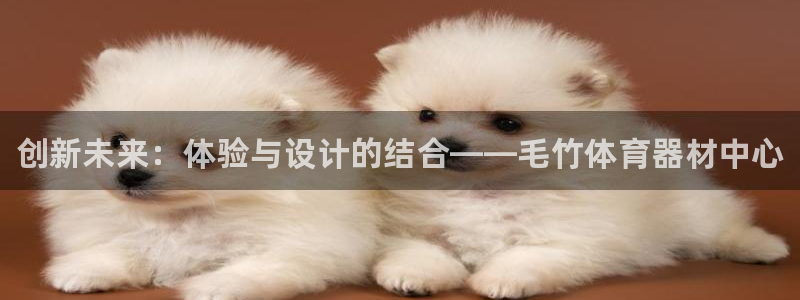 星欧娱乐最建议买的三个产品有哪些内容：创新未来：体验与设计的