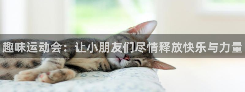 星欧娱乐是正规平台吗：趣味运动会：让小朋友们尽情释放快乐与力